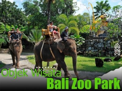 Bali Zoo park