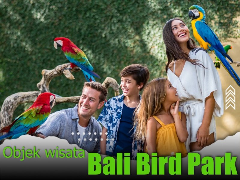 Bali Bird Park