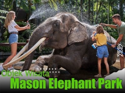 Mason Elephant Park