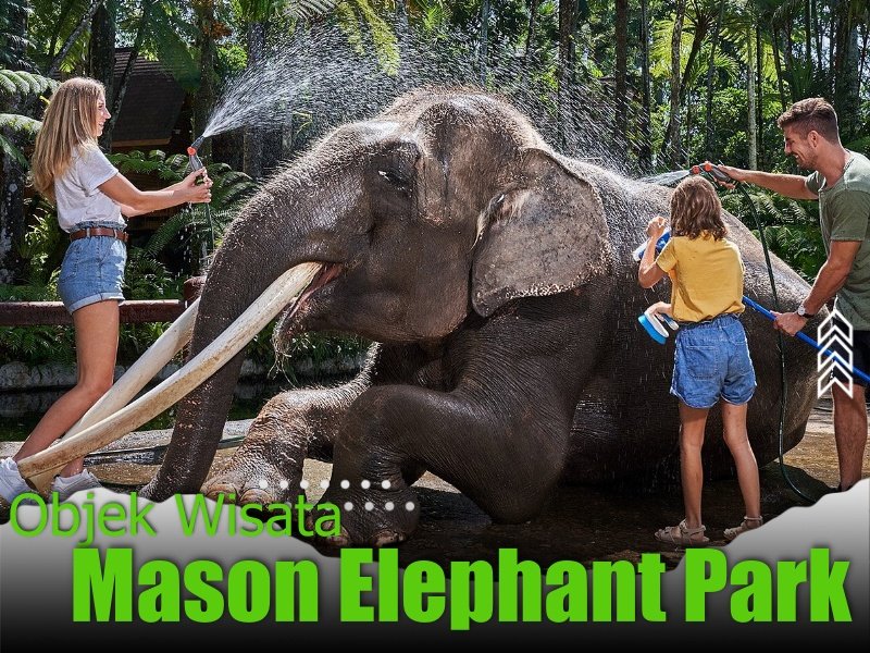 Mason Elephant Park