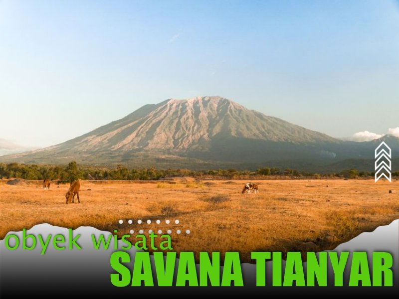 Svana Tianyar