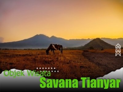 Savana Tianyar