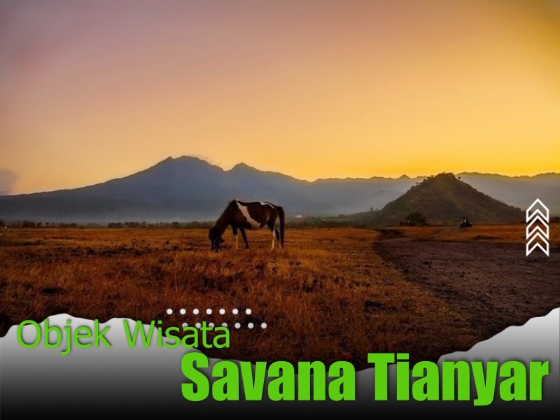 Savana Tianyar